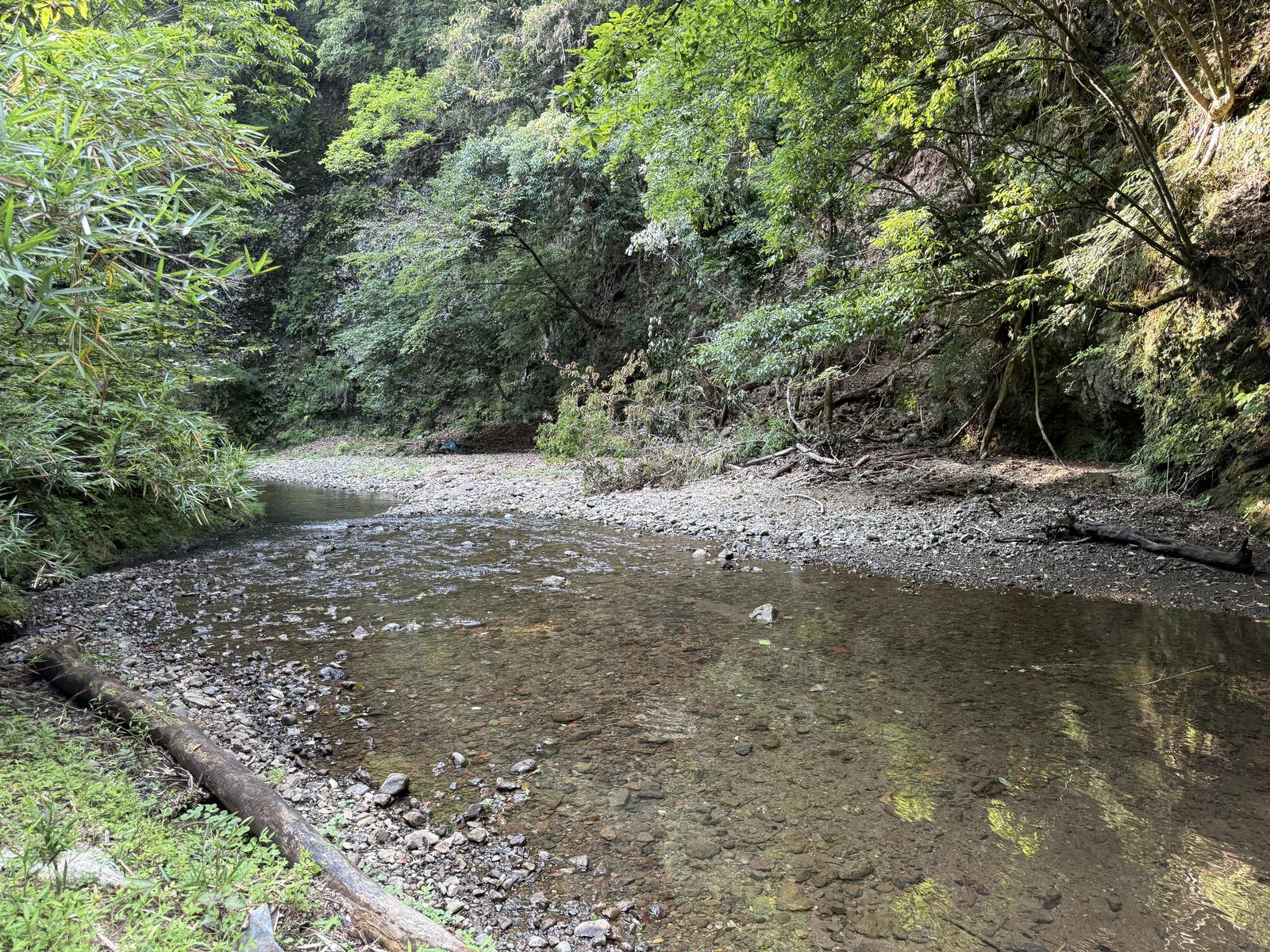 澄んだ沢の流れ